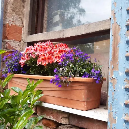 Apartment Toscana