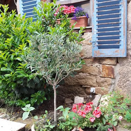 Toscana Apartment